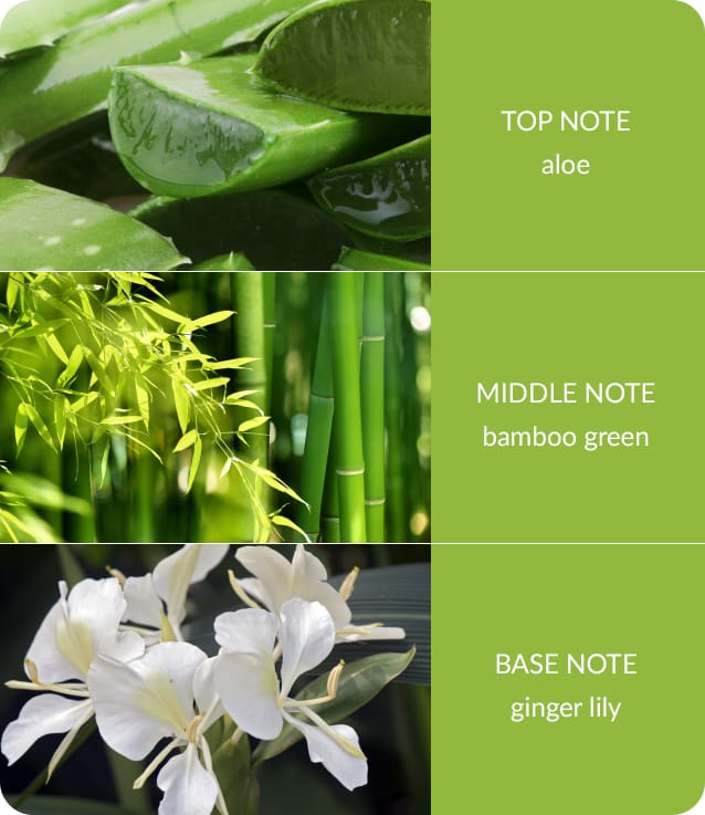 Bamboo & Ginger Lily Soy Candle - 40-Hour Burn with Relaxing Crackling Wick